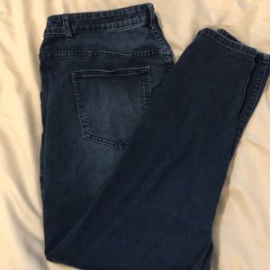 Eloquii Denim